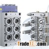 PET Jar Preform Mold