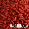 Xinjiang Organic GOJI