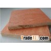 Bintangor plywood