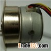 42mm Stepper Gear Motor
