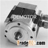 62mm Micro BLDC Motor
