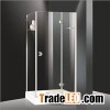 Frameless glass shower room