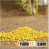 Yellow Masterbatch