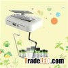 USB Motion Sensor LED Light