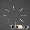 Hinge Screws