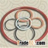 Sealing Ring