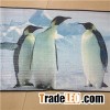 EPE Foam Snow Shade