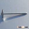umbrella roofing nail