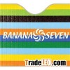 PE Foam Front Sun Shade