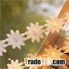Cotton Lace
