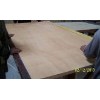 sell PLYWOOD FOR MAKING PALLET