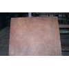 sell EUCALYPTUS PLYWOOD