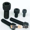 Hexagon Socket Cap Screw