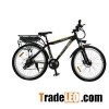 26 Inch 21 Speed 36V Lithium Battery Mountain Electric Bike