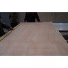 sell CANARIUM PLYWOOD