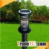 Solar Lawn Light