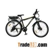 26 Inch 21 Speed 36V Lithium Battery Mountain Electric Bike