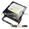 Floodlight 100W