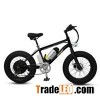 20*4.0 Inch Bottle Battery Fat Tire Mini Electric Bike