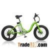 20*4.0 Inch Fat Folding Mini Electric Bike