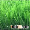 Falt Shape Football Grass