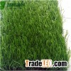 Spine Shape Landscaping Grass