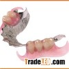 Partial Denture