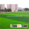 V Shape Football Grass