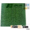 Economic Grass