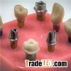 Customized Abutment