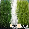 S Shape Football Grass