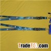 Lanyard