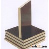 WBP Glue Film Faced Plywood
