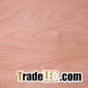 Okoume plywood