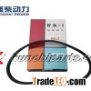 Weichai WP10 612600090600 Belt 8pk795
