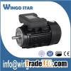 Ac Motor