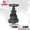 Forged Steel Globe Valve