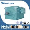 Squirrel-cage Motor