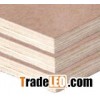 Bintangor plywood