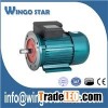 Electric Fan Motor