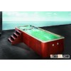 swim spa