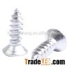 Electric Motor Stainless Steel Screws
