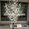 Cherry Blossom Tree