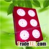 Led Growing Lamps