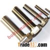 Titanium Hex Head Bolts