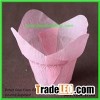 Tulip Baking Cup