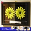 Anti Glare Protector Glass For Picture Framing
