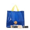 Pp Woven Shopping Bag