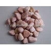 red pebble, green pebble, yellow pebble, pink pebble