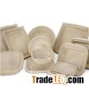 Environmental Compostable Disposable Sturdy Molded Pulp Takeaway Food Bowls Lunch Plates Boxes Conta